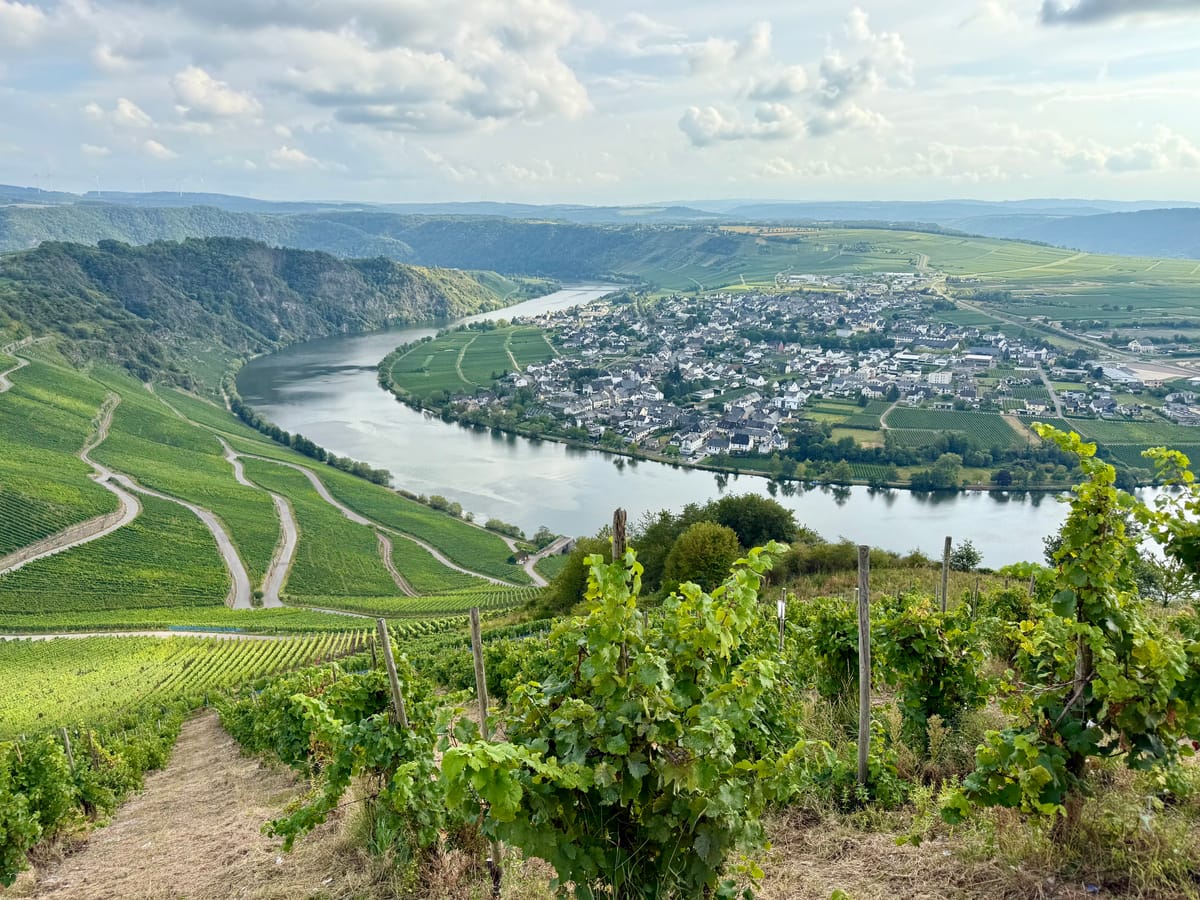Panoramafahrt Mosel mit Weinverkostung: Unser Ausflug in Bernkastel-Kues mit Thurgau Travel