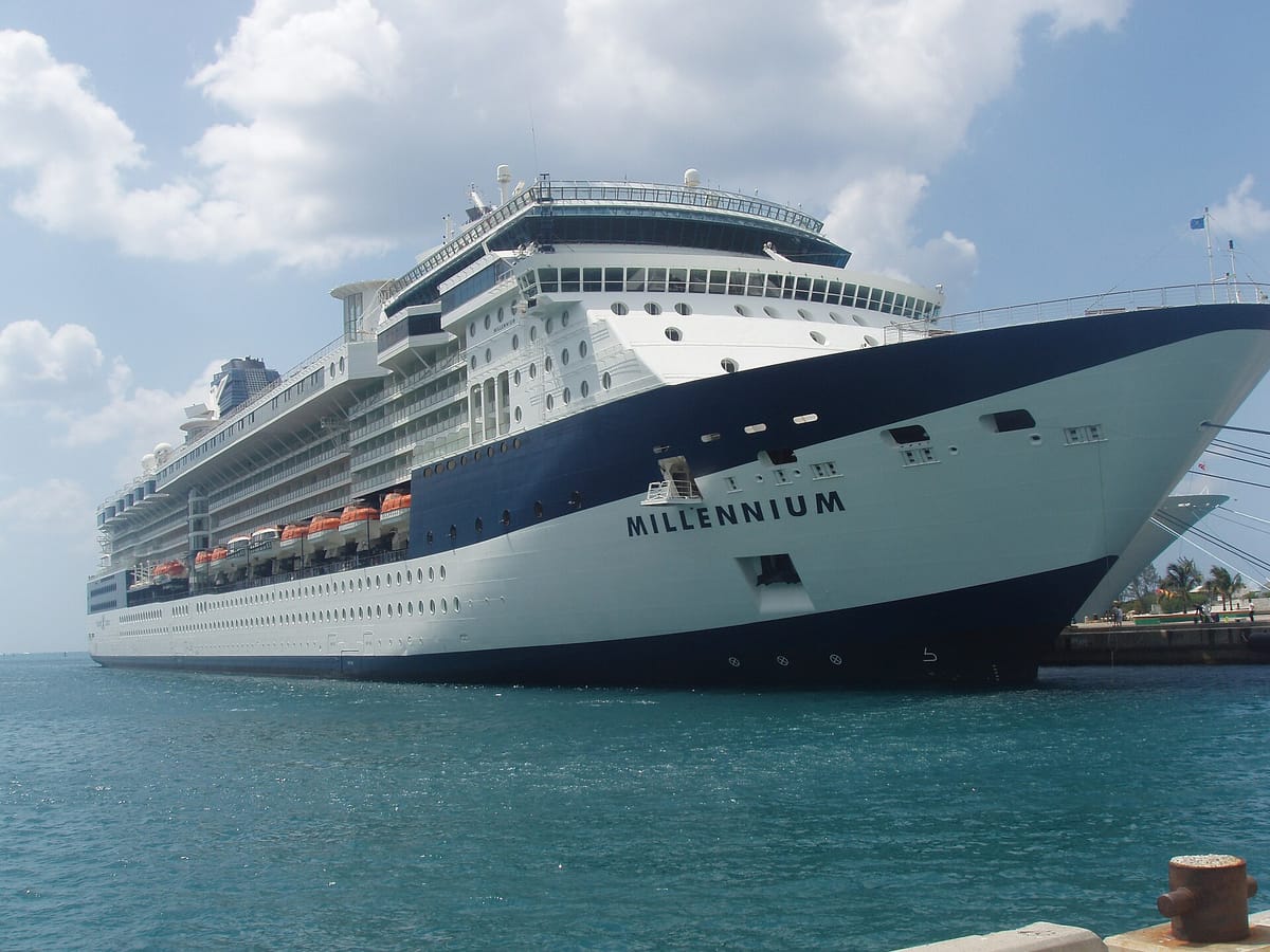 Die Celebrity Millennium