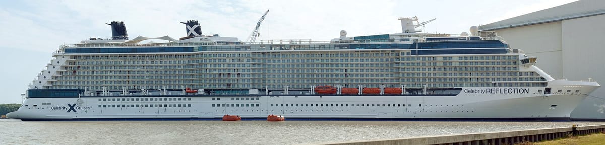 Die Celebrity Reflection