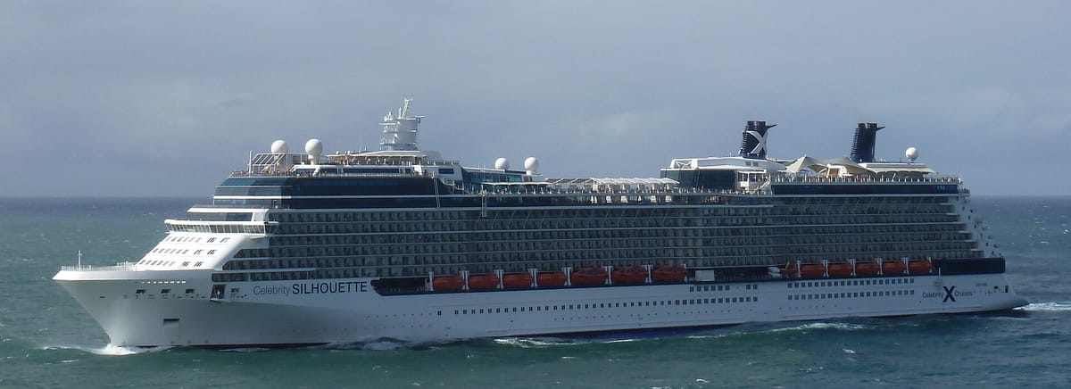 Die Celebrity Silhouette