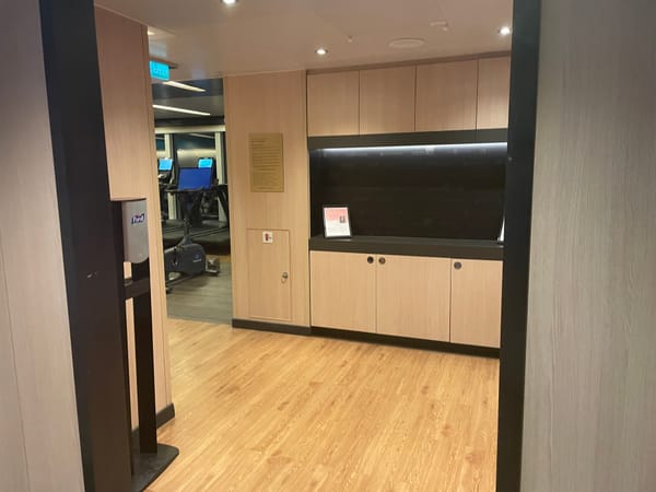 Fit auf hoher See: Das Gym auf der Majestic Princess im Check