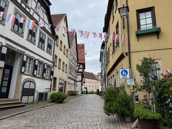 Mit der MS Thurgau Saxonia nach Bad Wimpfen: Unser zweiter Ausflug im Test