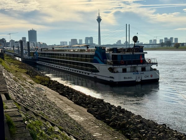 Mehr als nur Standard? Unser erster Eindruck der VIVA ONE