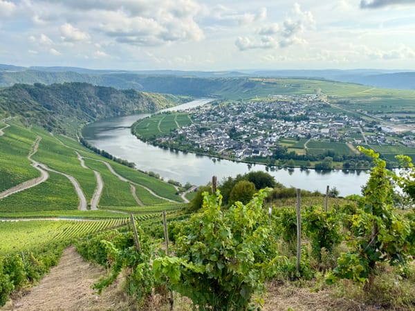 Panoramafahrt Mosel mit Weinverkostung: Unser Ausflug in Bernkastel-Kues mit Thurgau Travel