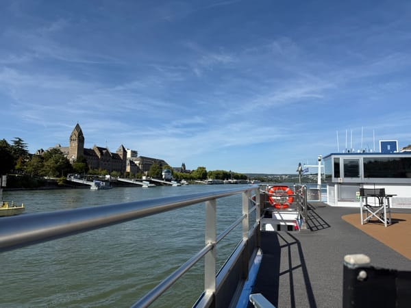 Niedrigwasser: So trifft es die Flusskreuzfahrt gerade